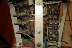 Tati the Cybernetic Dog