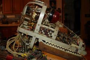 Tati the Cybernetic Dog