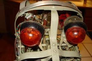 Tati the Cybernetic Dog