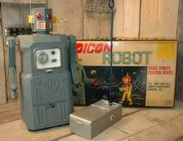 Radicon Robot