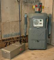 Radicon Robot