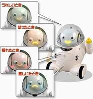 ifBot Robot