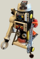 Maxx Steele Roboforce
