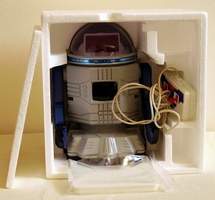 Steve The Butler Robot