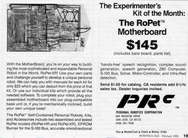 RoPet Robot