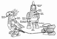 Parrot Robot