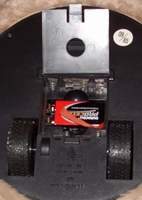 Axlon Bear Robot