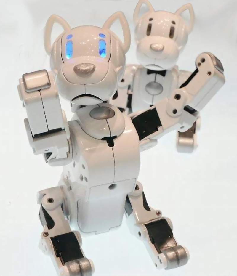 I-SoDog Robot