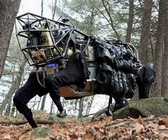 Alpha Dog Robot