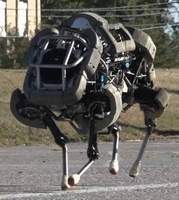 Alpha Dog Robot