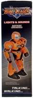 Leader Robot