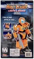 Leader Robot