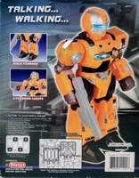 Leader Robot