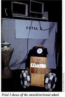 Fetal Robot