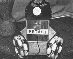 Fetal Robot