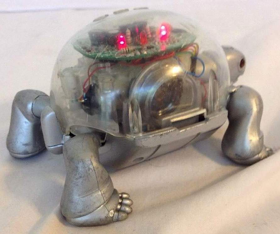 Tekno Turtle Robot