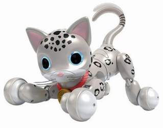 Kitty Robot