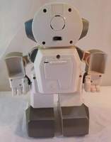 Echo-Bot Robot