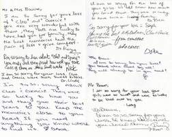 Cleoat the Rainbow Bridge